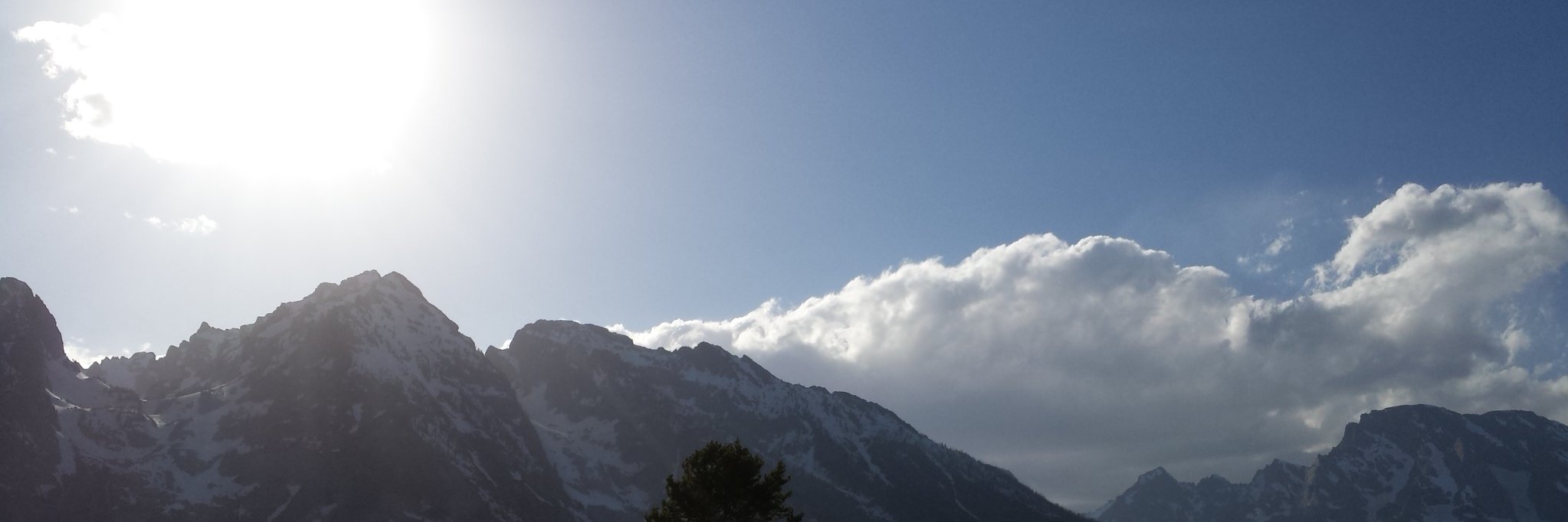 flat_gone's profile banner image