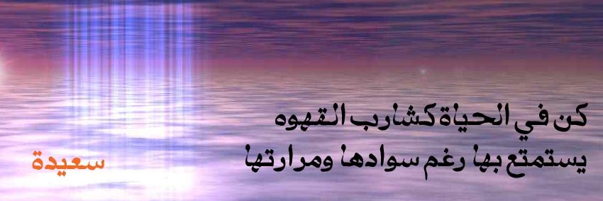 SaeedaKareem's profile banner image