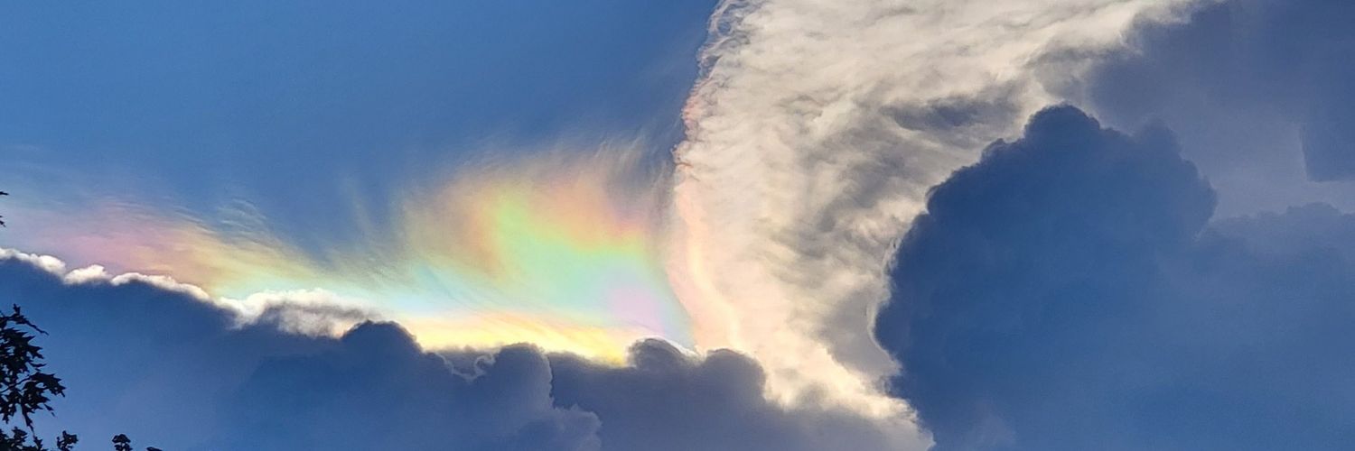 Nellyh411's profile banner image