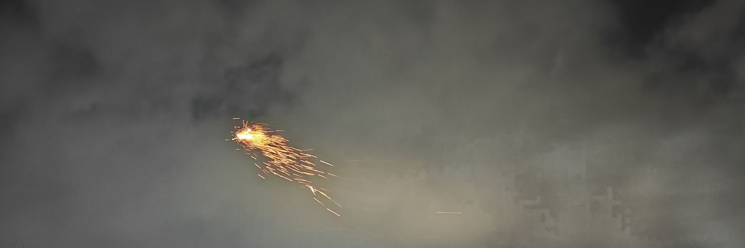 vodja banner