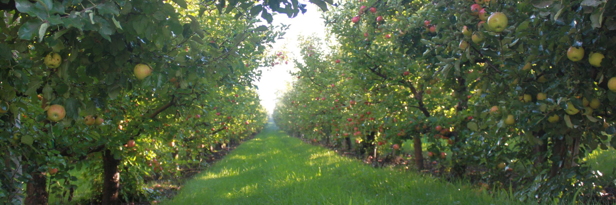 WAFamilyFarms's profile banner image