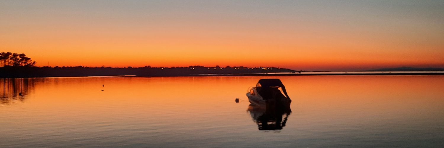 navidakovic's profile banner image