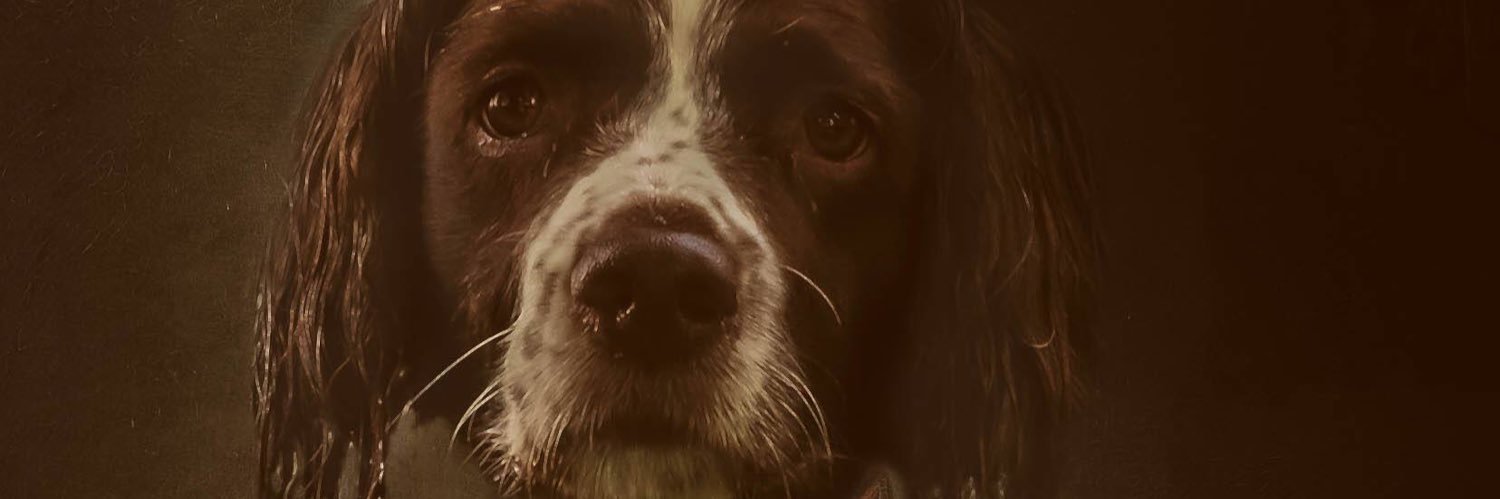 graeme_cave's profile banner image