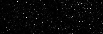 bellabergstedt's profile banner image