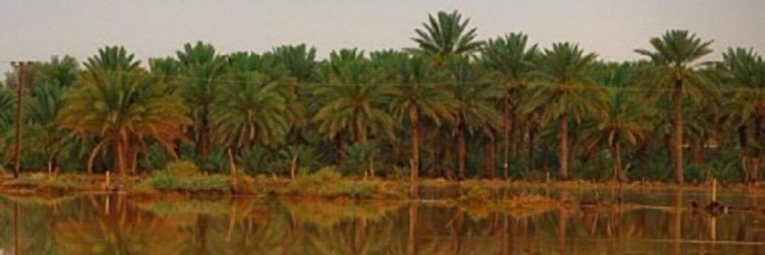 kk55k's profile banner image