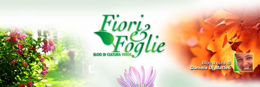 Fiori&Foglie - Tgcom24 banner