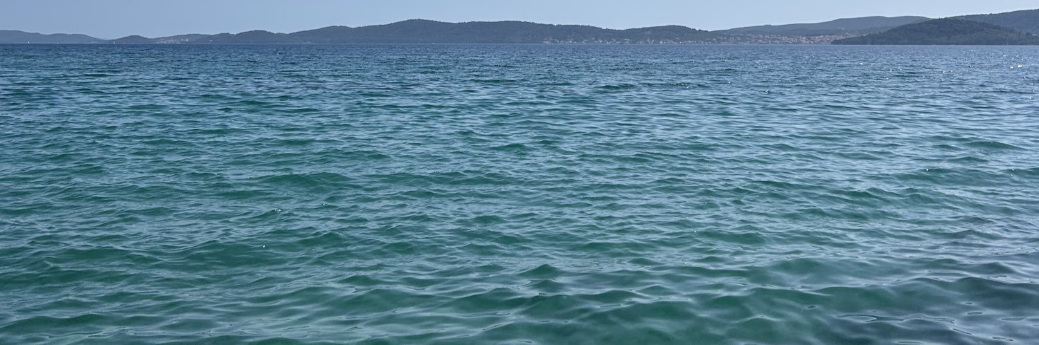 Will banner