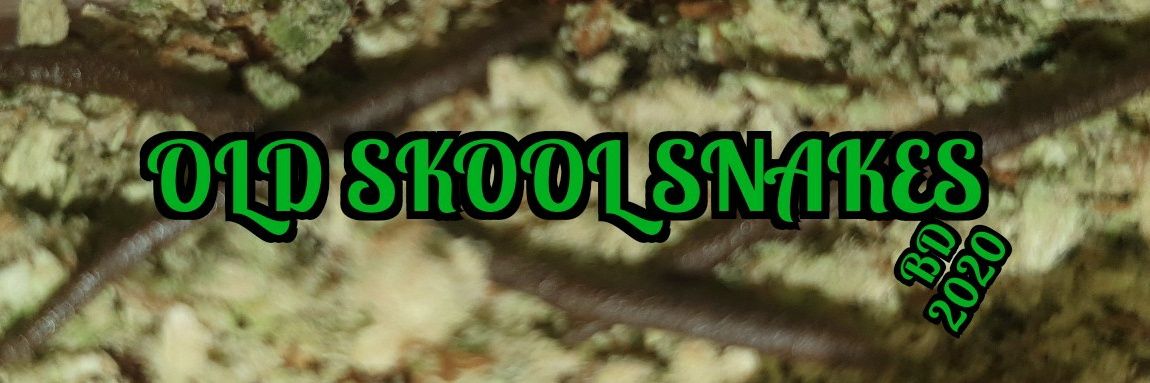 darrenpowell3's profile banner image
