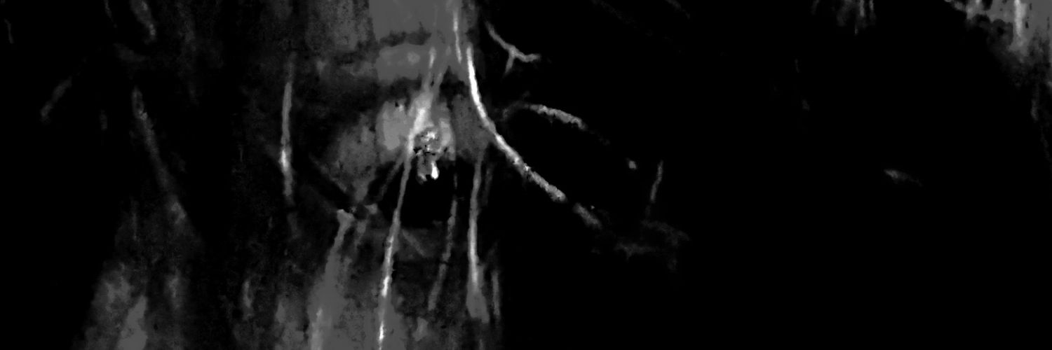 matunaoki's profile banner image