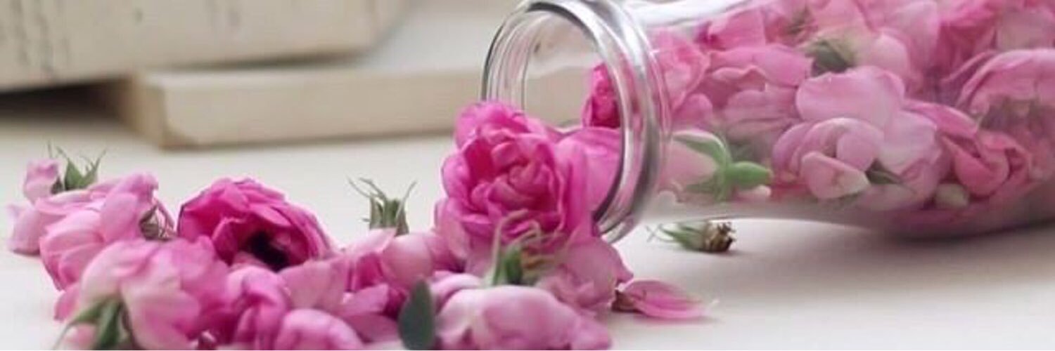 badr24581's profile banner image