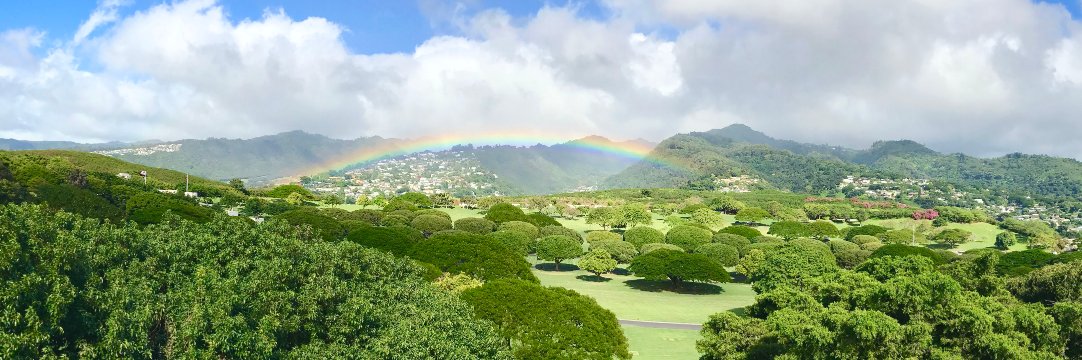 Judith Stilgenbauer banner