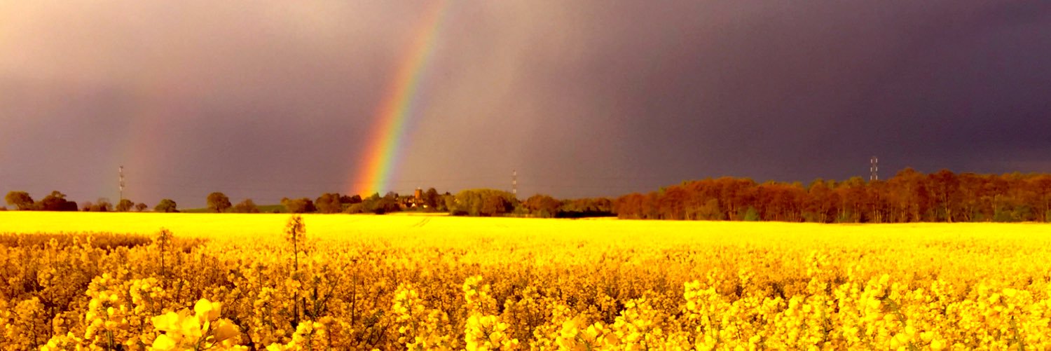 LouisaFS's profile banner image