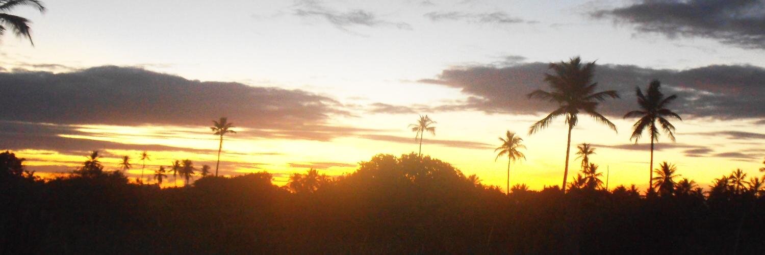 ReriBarreto's profile banner image