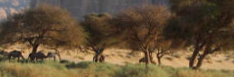 Abonorah1990's profile banner image