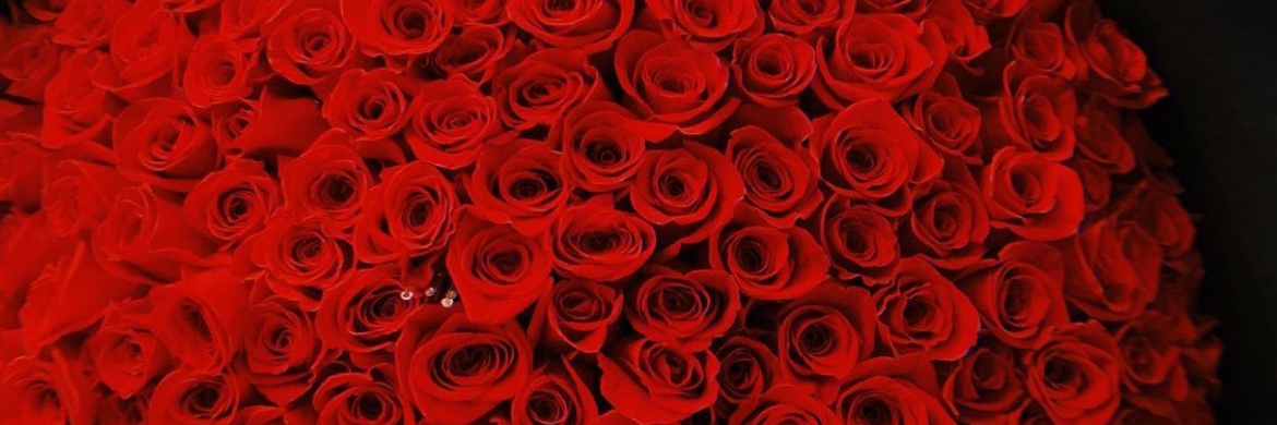 MareyaS__'s profile banner image