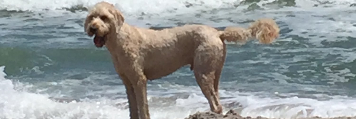 papasuggs34's profile banner image