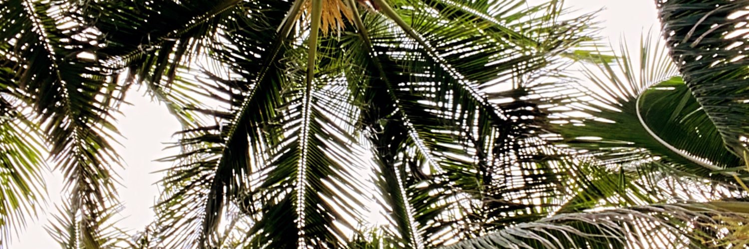 cdelbusto90's profile banner image