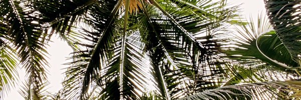 cdelbusto90 Profile Banner