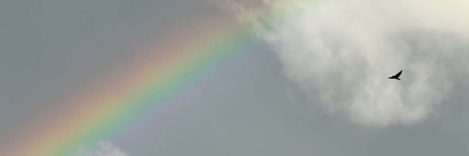 holidaymoodx's profile banner image