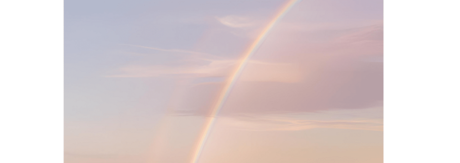 mdmolinaross's profile banner image