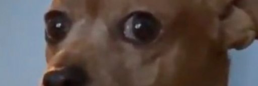 Murcieiago4's profile banner image