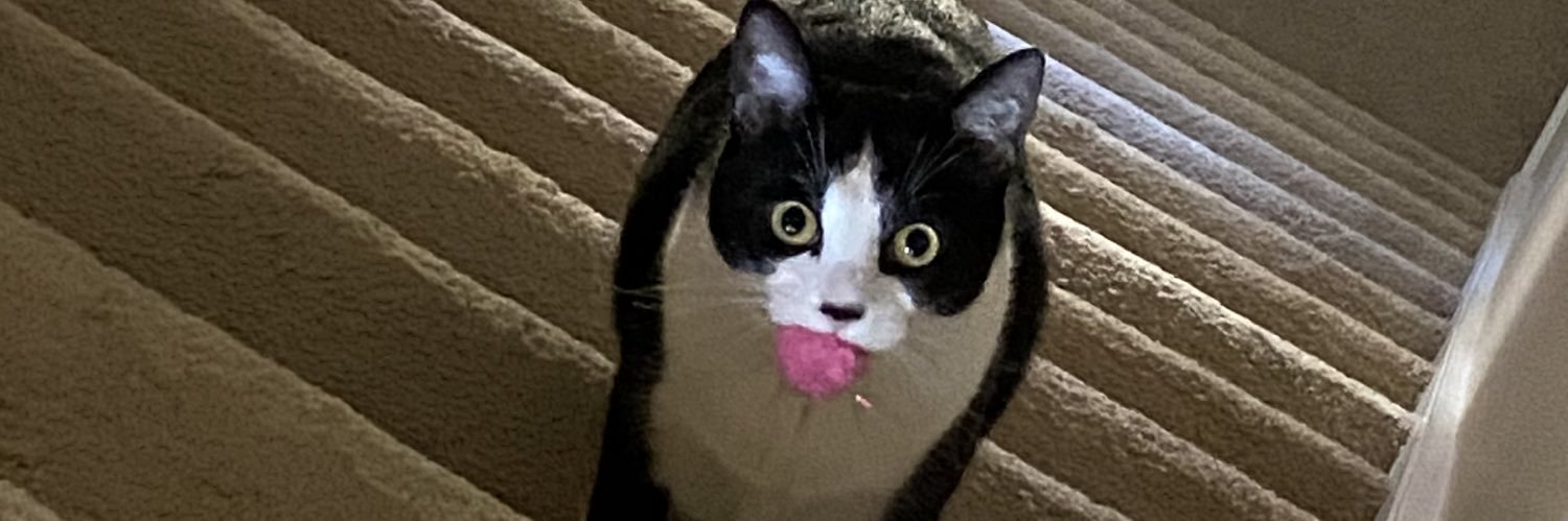 Brandon99c's profile banner image