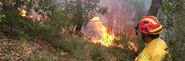 sfadfcat Profile Banner