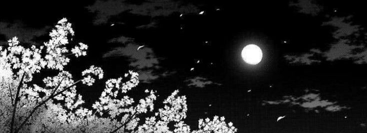 calmingluuna17's profile banner image