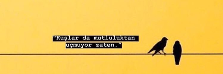 haticeoztemur's profile banner image