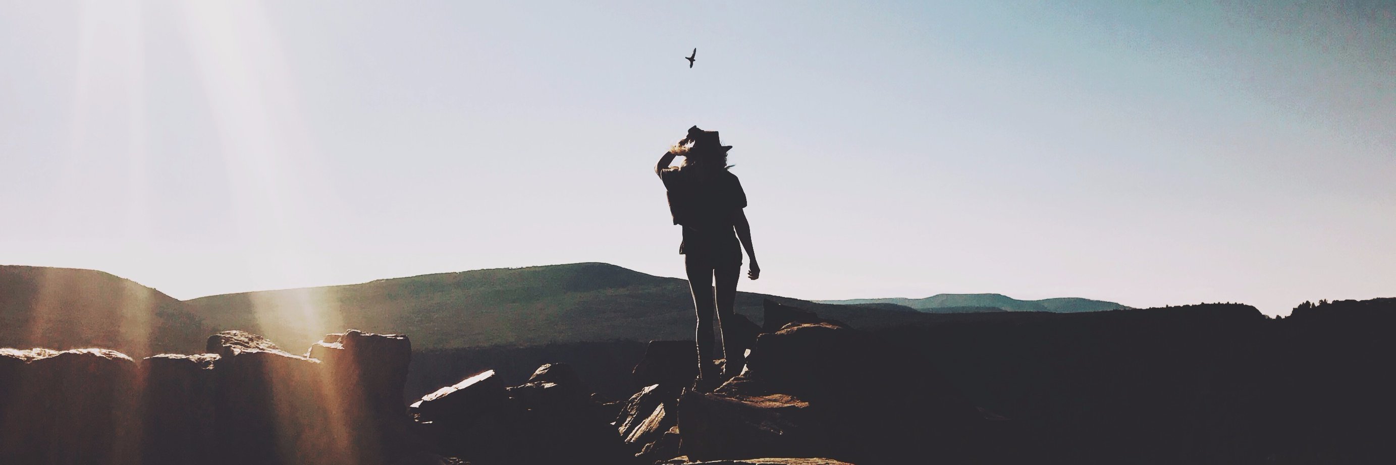 CALthepal's profile banner image