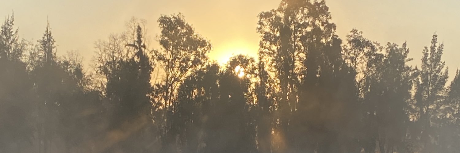 larocanlover's profile banner image