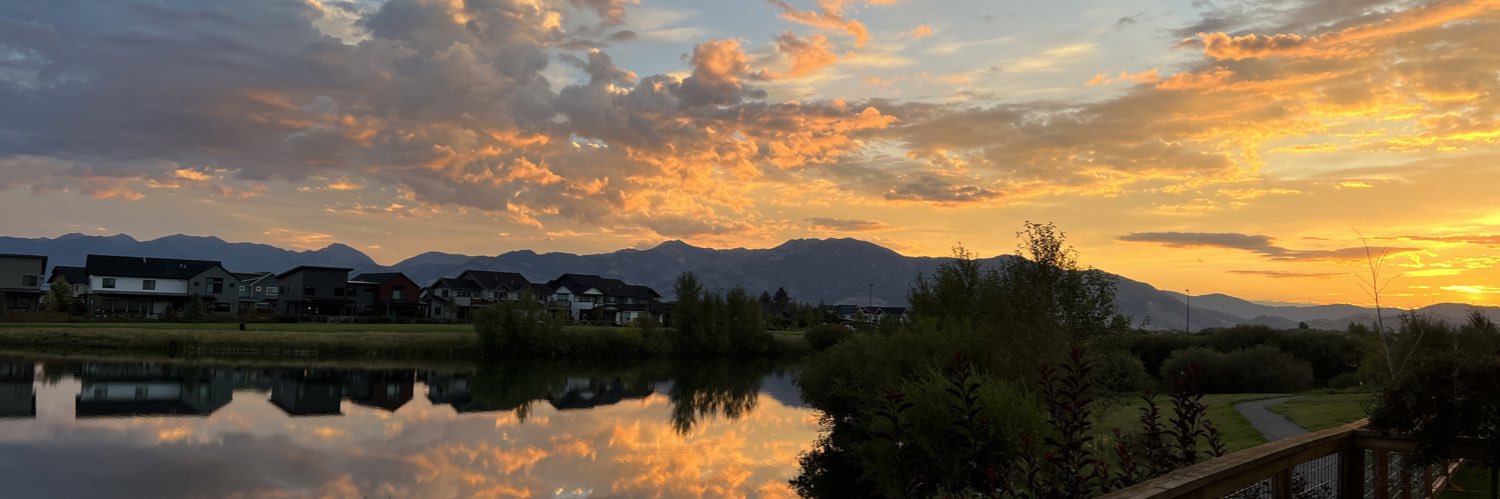 Patrick Hartoonian banner