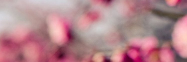 AlrashedB's profile banner image