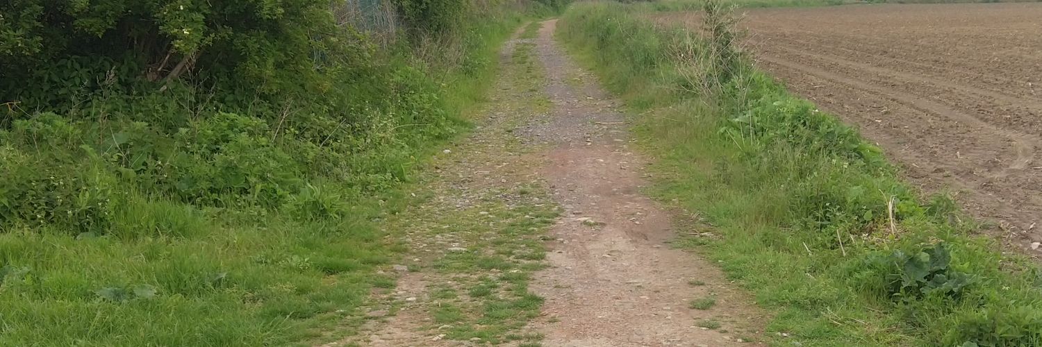 GGCG - franck banner