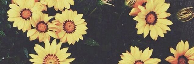 spomaress's profile banner image