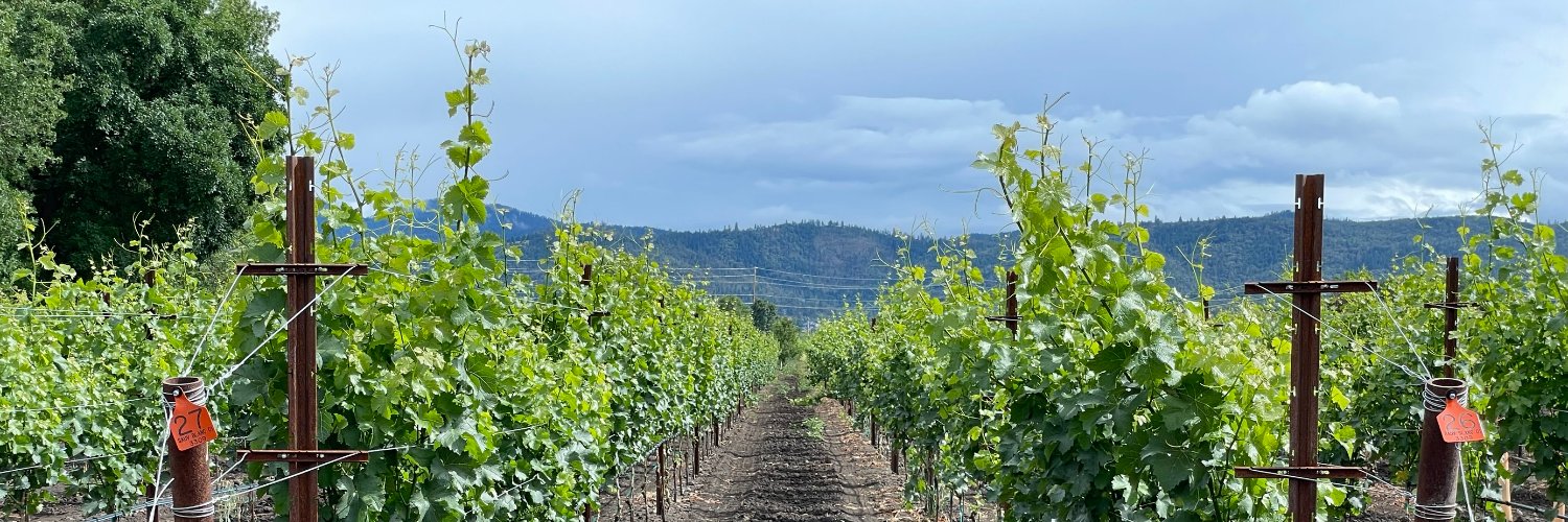 Alec Levin 🍇👨🏻‍🔬 banner