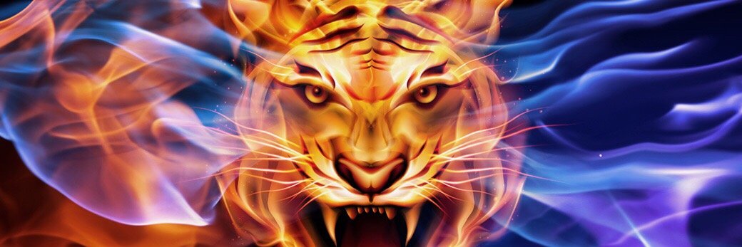 Liipee_Silva's profile banner image