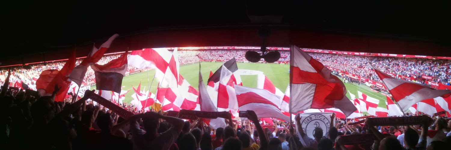 ErCablePelao banner