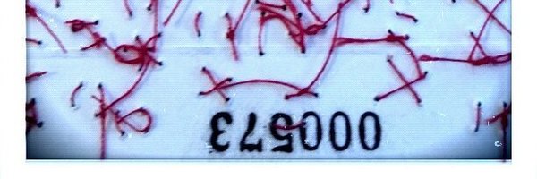 sonjabm Profile Banner