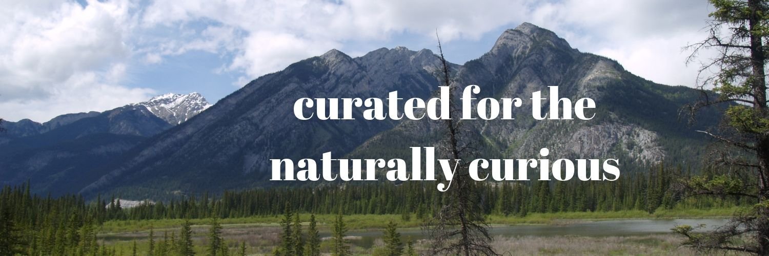 climate curator banner