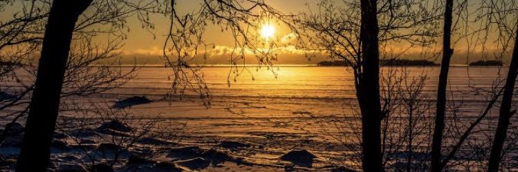 Sibongile Ntshinga banner