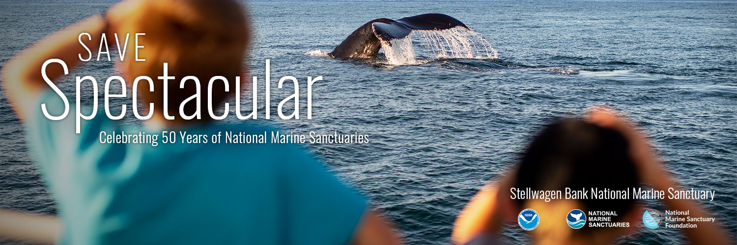 NOAA Stellwagen Bank NMS banner