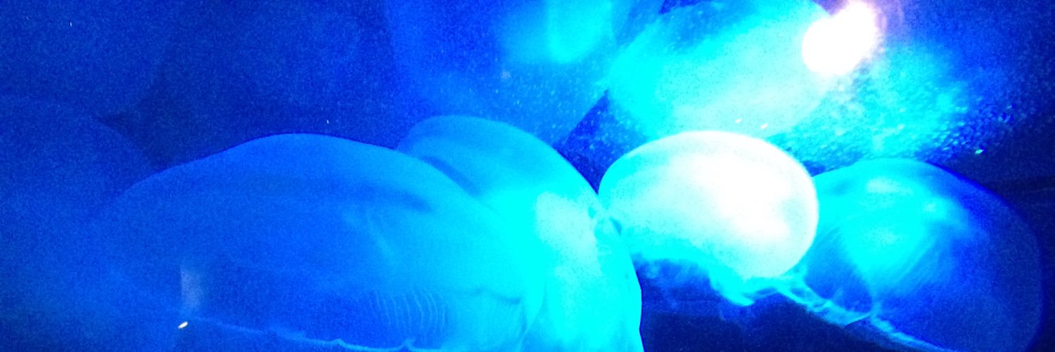 オレンジ banner