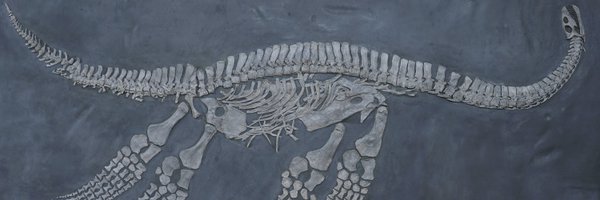 AnatRecord Profile Banner