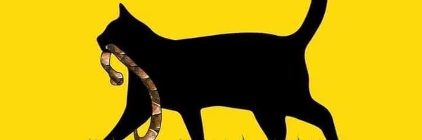 dickacarter Profile Banner