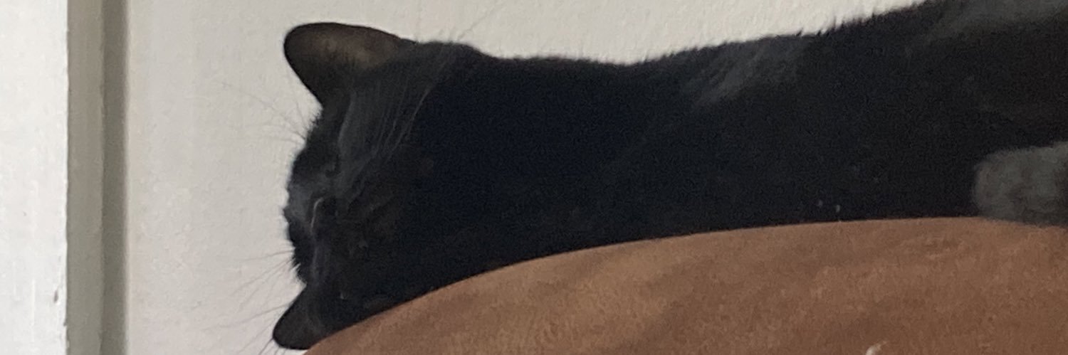 owomouse's profile banner image