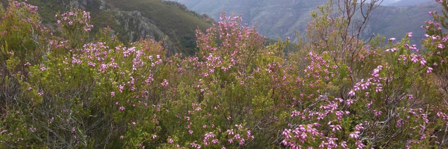 Alberto Uría banner