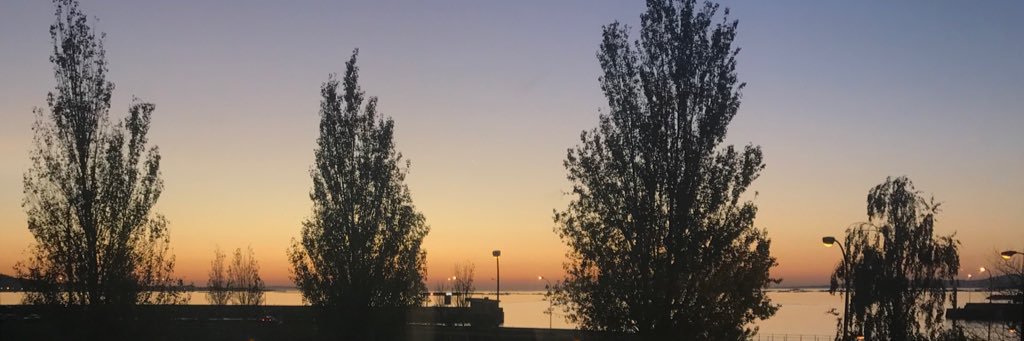 AliceWiz's profile banner image