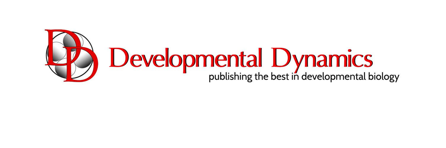 DevelopmentalDynamic's banner