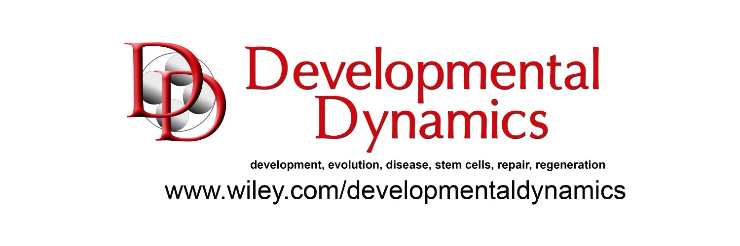 DevelopmentalDynamic banner